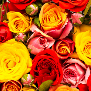 Une rose soliflore - Fetes Grenadine