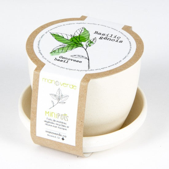 Minipots Mano Verde