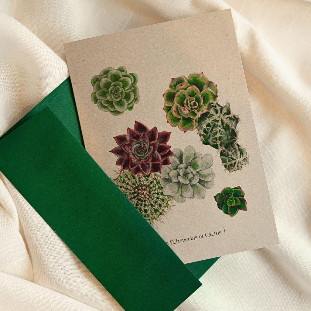 Carte de souhaits - Botanique - Echeverias et Cactus