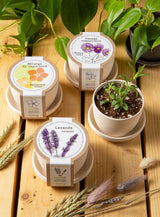 Minipots Mano Verde - Fetes Grenadine
