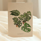 Carte de souhaits - Botanique - Monsteras