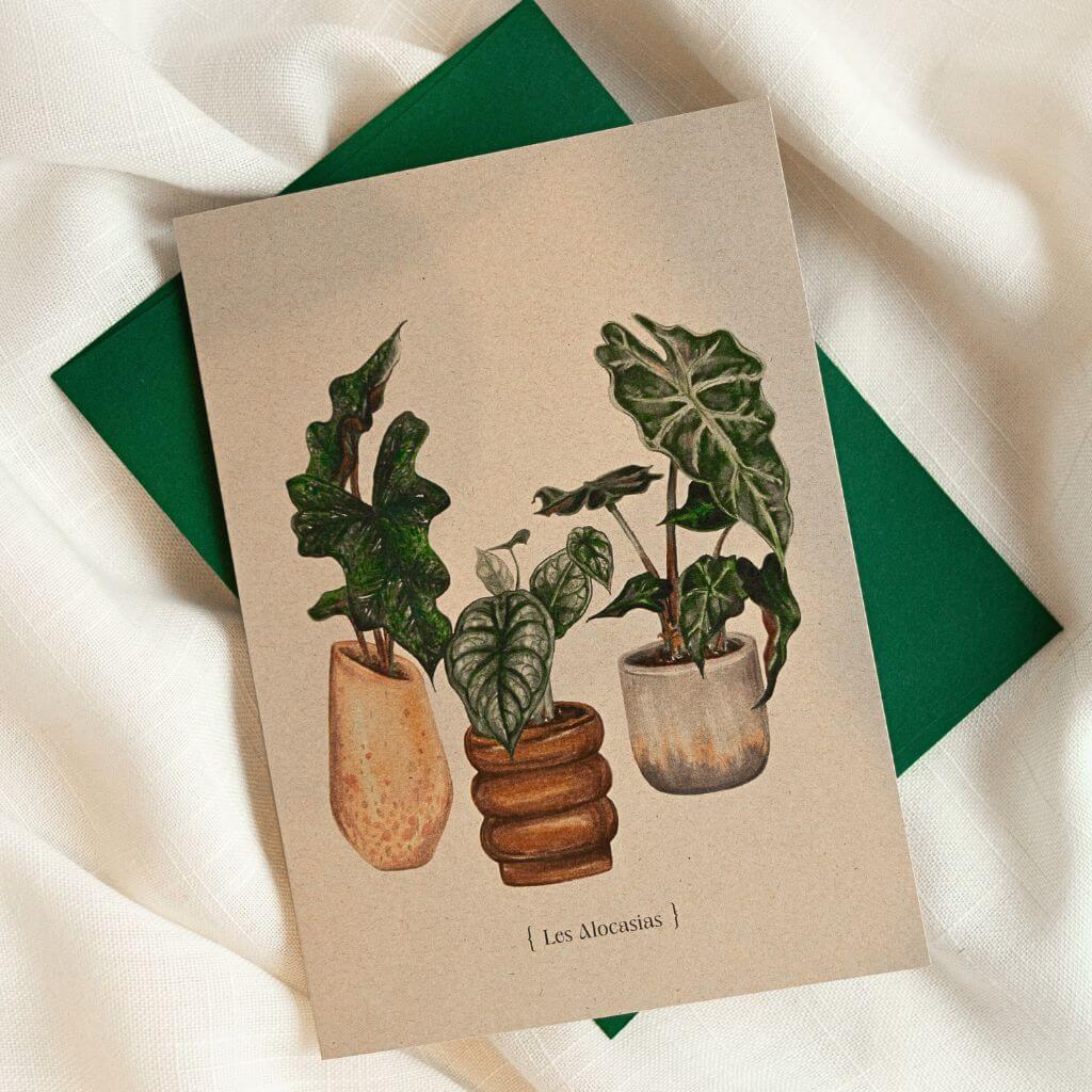 Carte de souhaits - Botanique - Alocasias