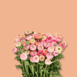 Bouquet de renoncules valentines - Fetes Grenadine