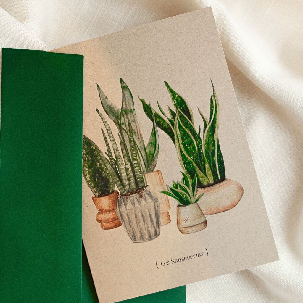 Carte de souhaits - Botanique - Sansevières