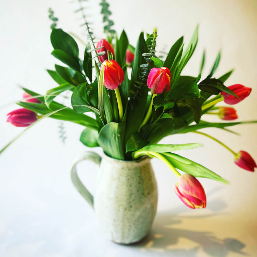 Bouquet de tulipes du Québec