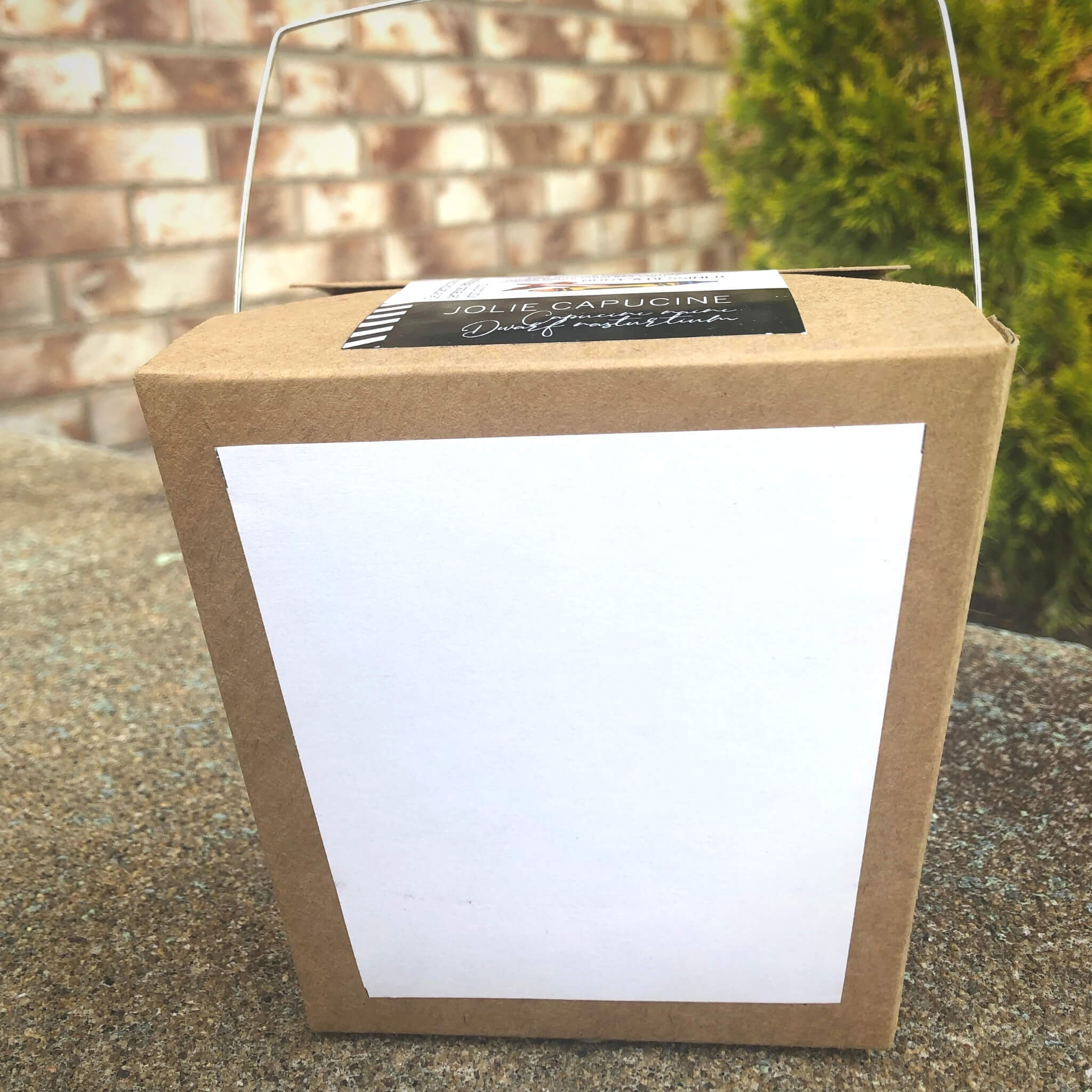 Boîte à colorier - Capucine - Fetes Grenadine