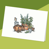 Basilic frais - Fetes Grenadine