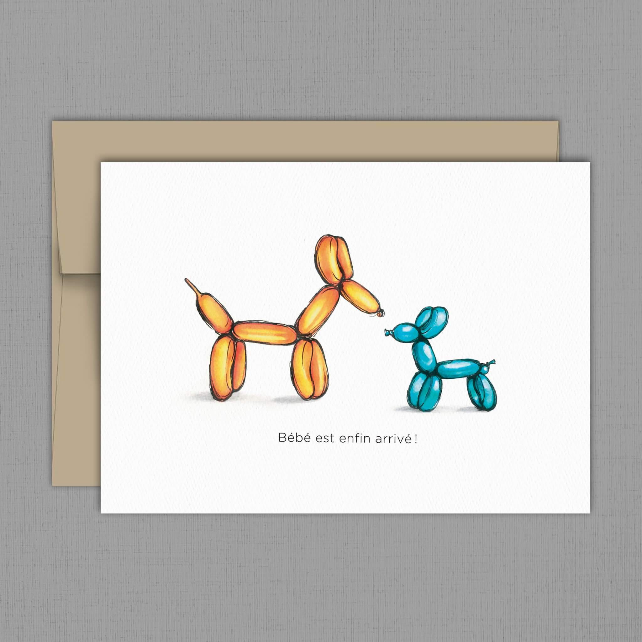 Naissance - Ballons - Fetes Grenadine