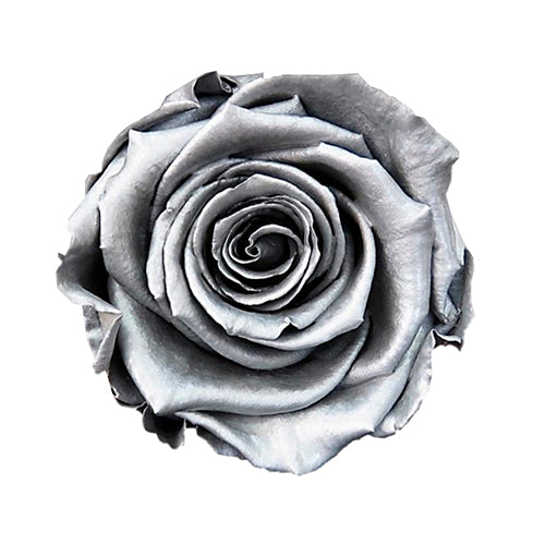 Rose éternelle en cloche
