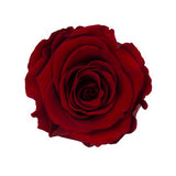 Rose préservée sous cloche - Fetes Grenadine