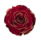 Rose éternelle en cloche