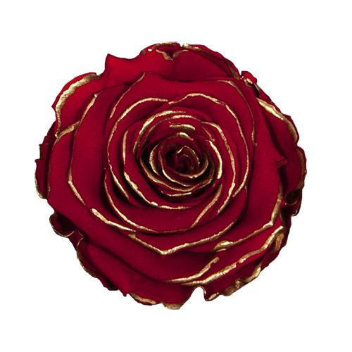 Rose éternelle en cloche